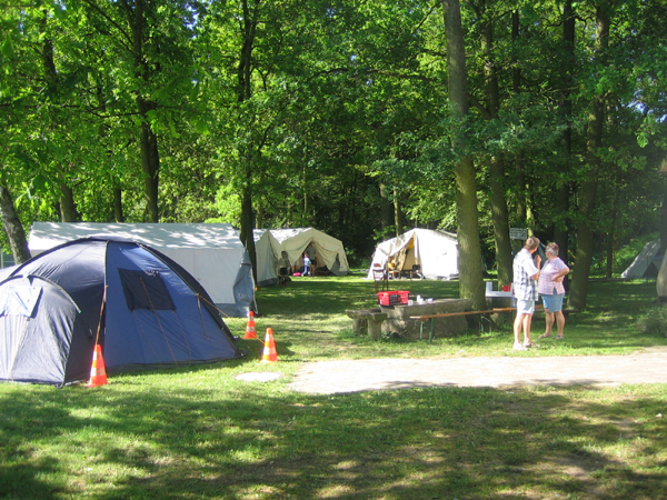 Bild 191