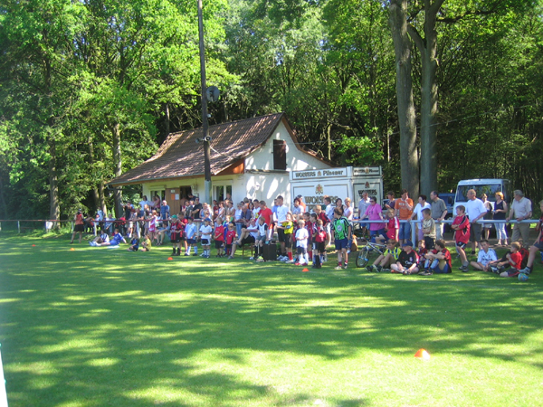 Bild 251
