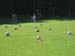 Bild 192