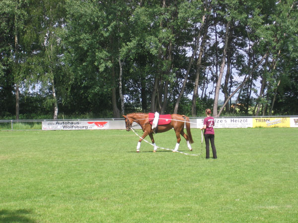 Sportwoche 301