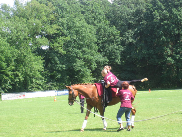 Sportwoche 313