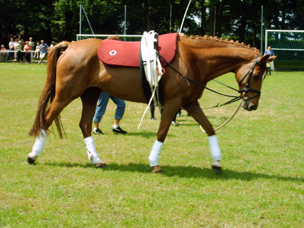 Sportwoche 318