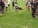 Sportwoche 247