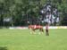 Sportwoche 301