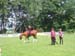Sportwoche 308