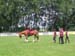 Sportwoche 310