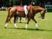 Sportwoche 318