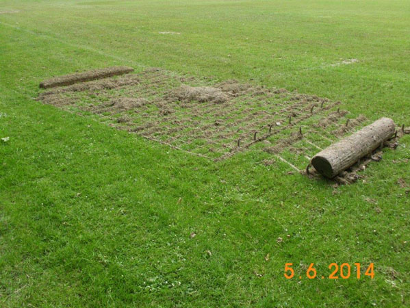 Sportplatz 2014 Juni 003