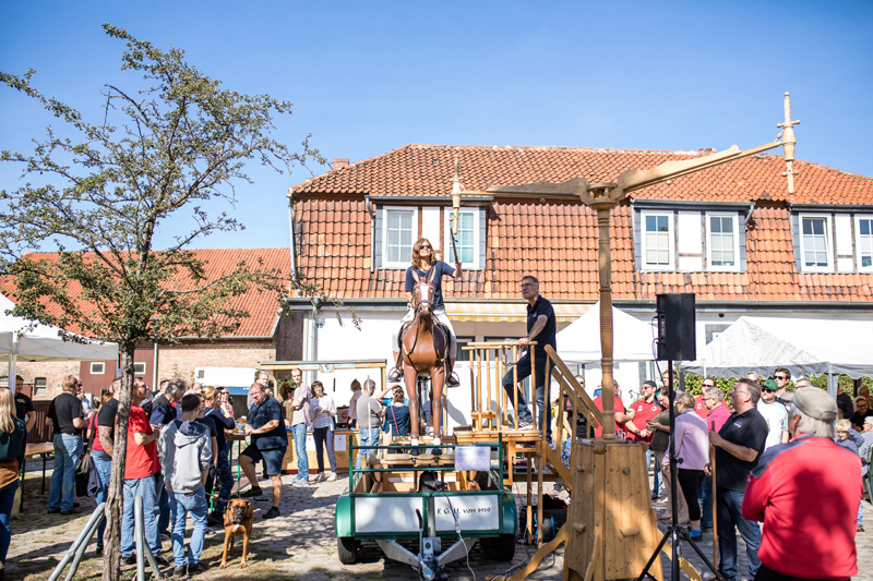 TUSHerbstmarkt-4